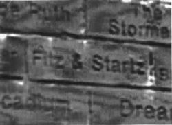 Fitz brick 2